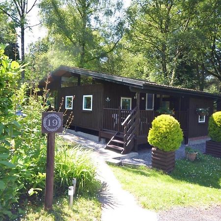 Caban Coetir Villa Cenarth Eksteriør billede