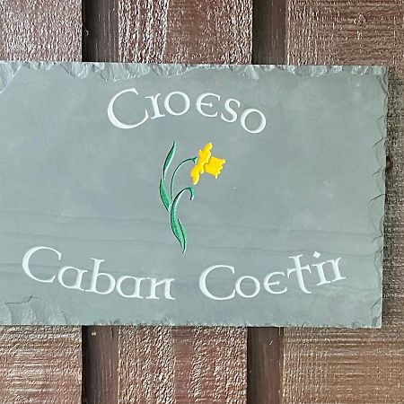Caban Coetir Villa Cenarth Eksteriør billede