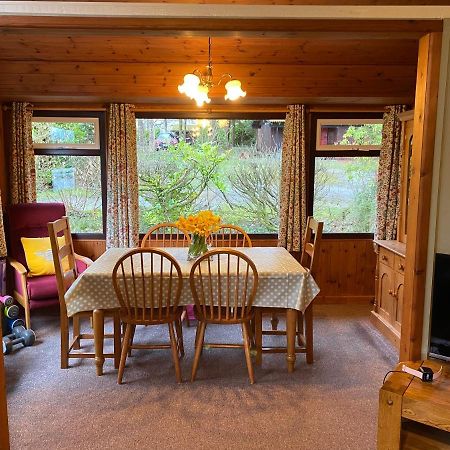 Caban Coetir Villa Cenarth Eksteriør billede