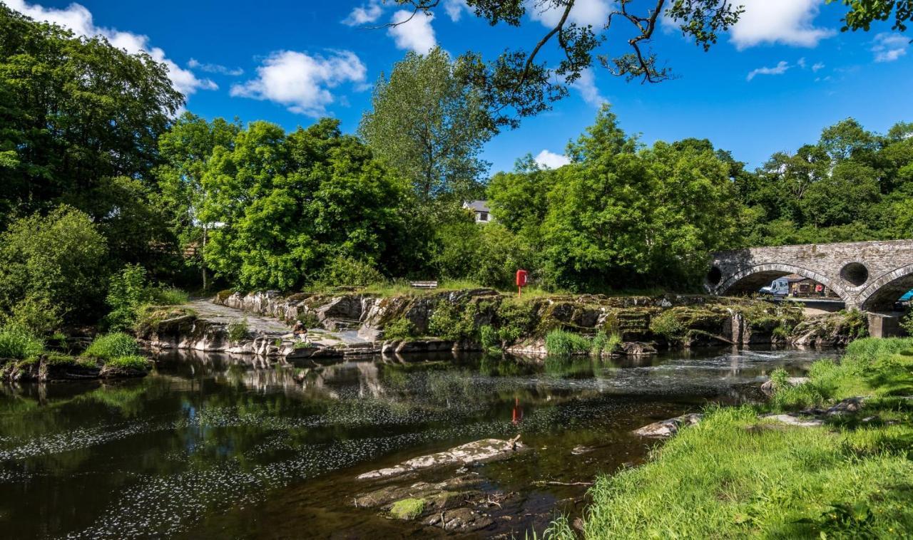 Caban Coetir Villa Cenarth Eksteriør billede