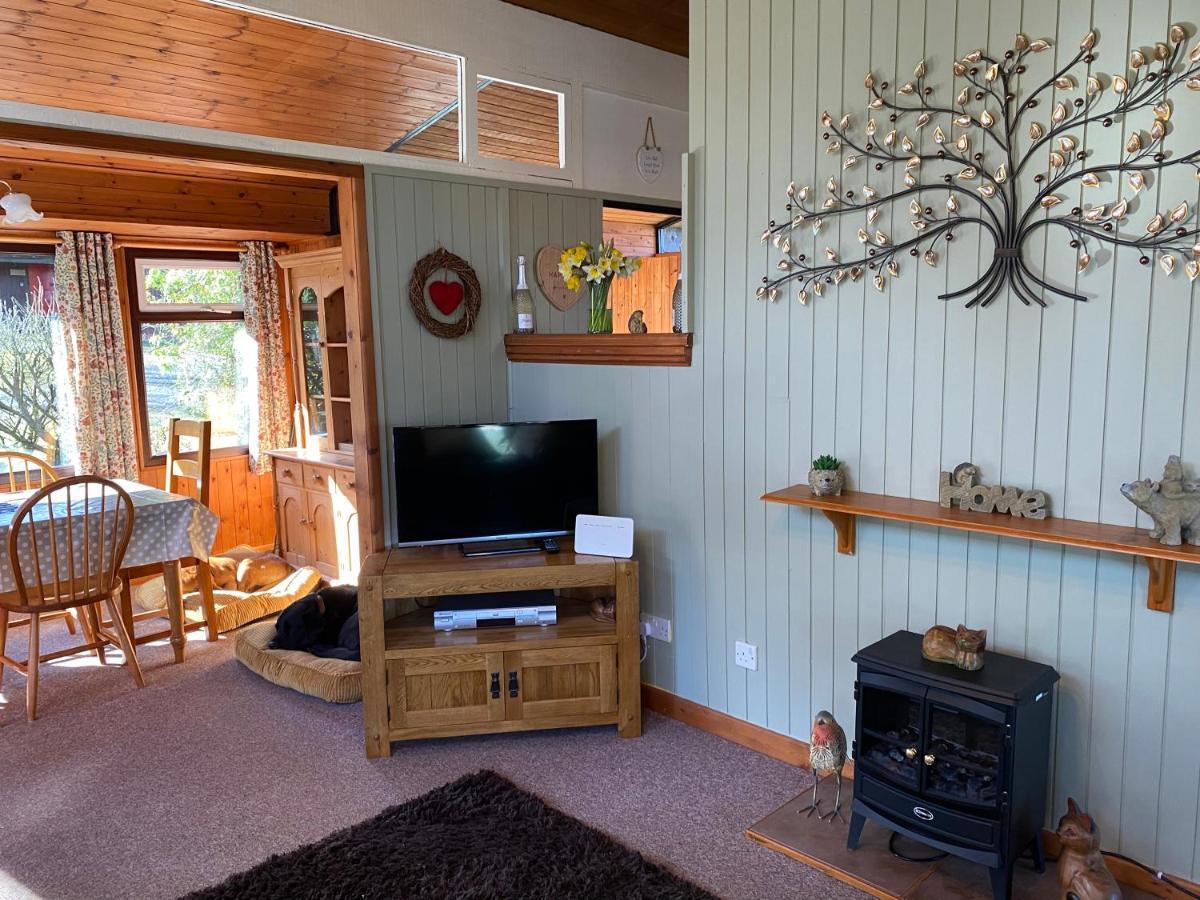 Caban Coetir Villa Cenarth Eksteriør billede