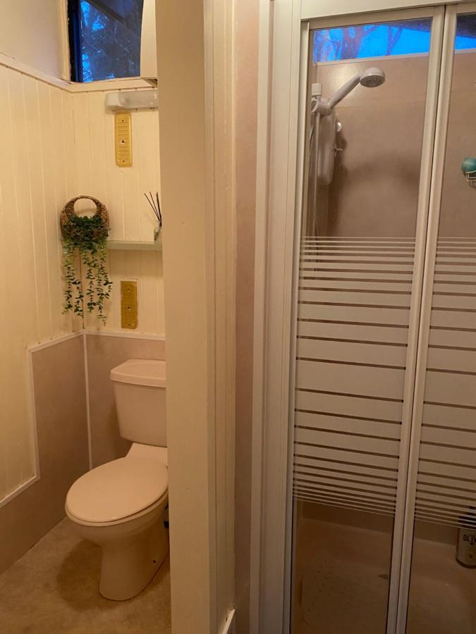 Caban Coetir Villa Cenarth Eksteriør billede