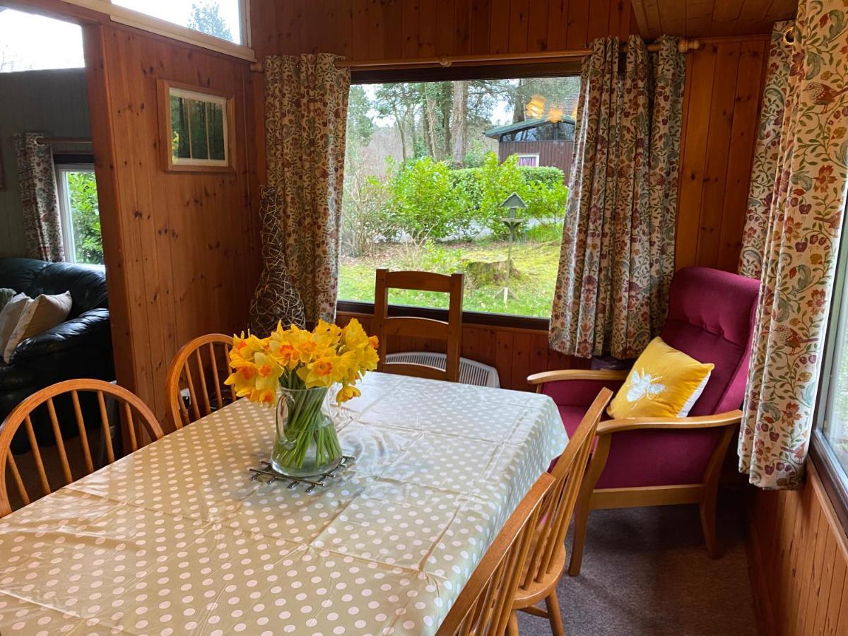 Caban Coetir Villa Cenarth Eksteriør billede